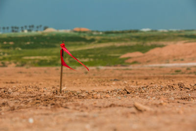 Red umbrella on field against sky