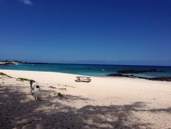 Scenic view of sea against blue sky