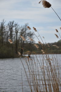 Scenic view of lake against sky