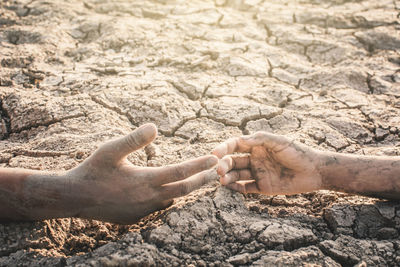 Cropped image of people with muddy hands on ground
