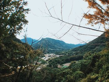 Low angle view of trees and mountains against sky