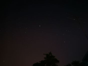 Low angle view of silhouette trees against sky at night