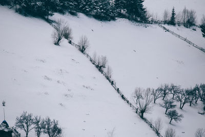Bare trees on snow covered landscape