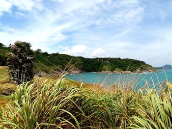 Scenic view of bay against sky