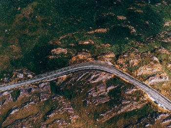 High angle view of road amidst trees in forest