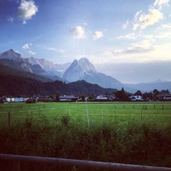 Scenic view of field against sky