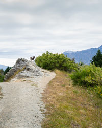 Scenic view of land against sky