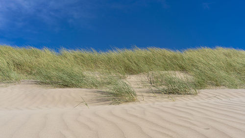 Scenic view of sand dune on beach against blue sky