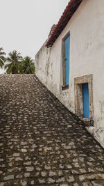 Footpath amidst palm trees and houses against sky