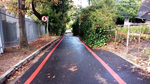 Road passing through trees