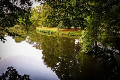 Reflection of trees in lake