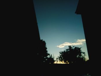Silhouette trees against sky during sunset