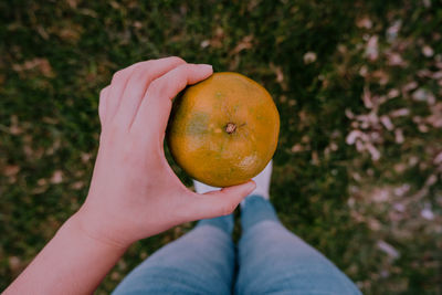 Midsection of person holding apple