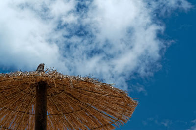 Low angle view of straw parasol against sky