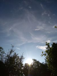 Low angle view of silhouette trees against sky