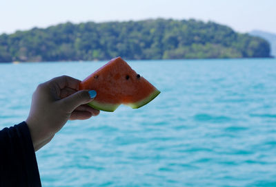 Midsection of person holding apple against sea