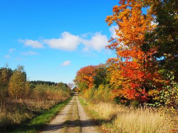 Autumn trees on landscape against sky