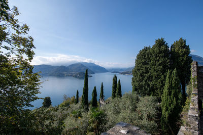 Scenic view of trees and plants against sky