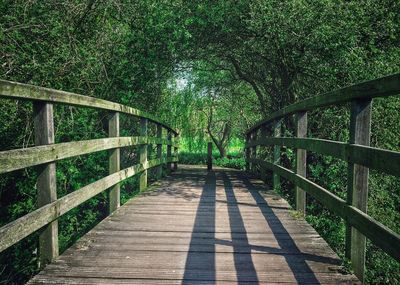 Footbridge leading to trees