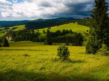 Scenic view of landscape against sky