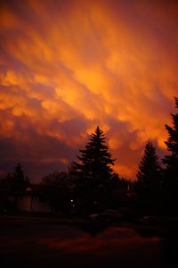 Silhouette trees against sky during sunset