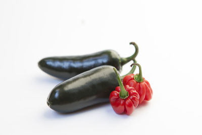 Close-up of red chili pepper against white background