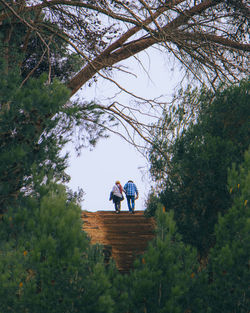 Rear view of man and woman walking on tree