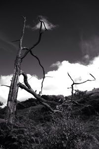 Scenic view of field against cloudy sky