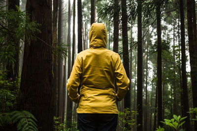 Rear view of woman standing in forest