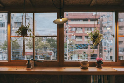 Trees seen through window