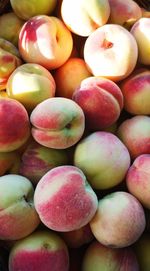 Full frame shot of apples for sale at market stall