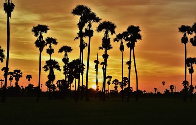 Silhouette palm trees on field against sky during sunset