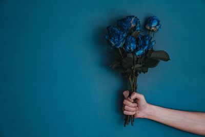 Midsection of person holding blue flower against wall