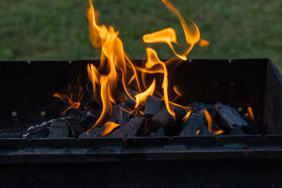 Close-up of fire on log