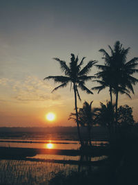 Silhouette palm trees by sea against sky during sunset