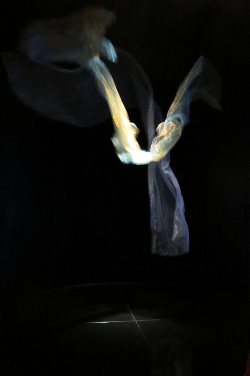 CLOSE-UP OF WHITE FLOWER IN BLACK BACKGROUND