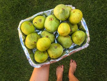 Low section of person holding fruits in basket