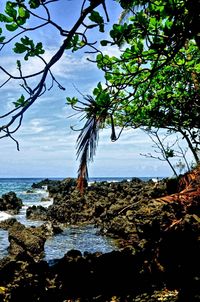 Scenic view of sea against sky