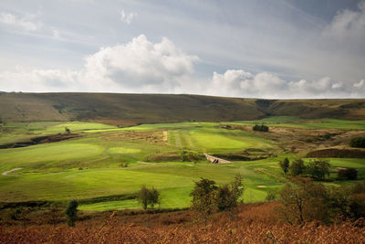 Scenic view of agricultural field against sky