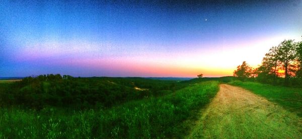 Scenic view of grassy field against sky