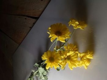 Close-up of yellow flowers blooming outdoors