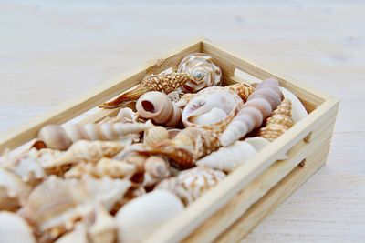 High angle view of shells on table