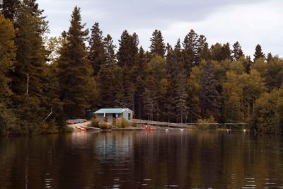 Scenic view of lake against trees in forest