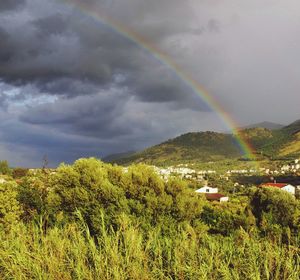 Rainbow over landscape