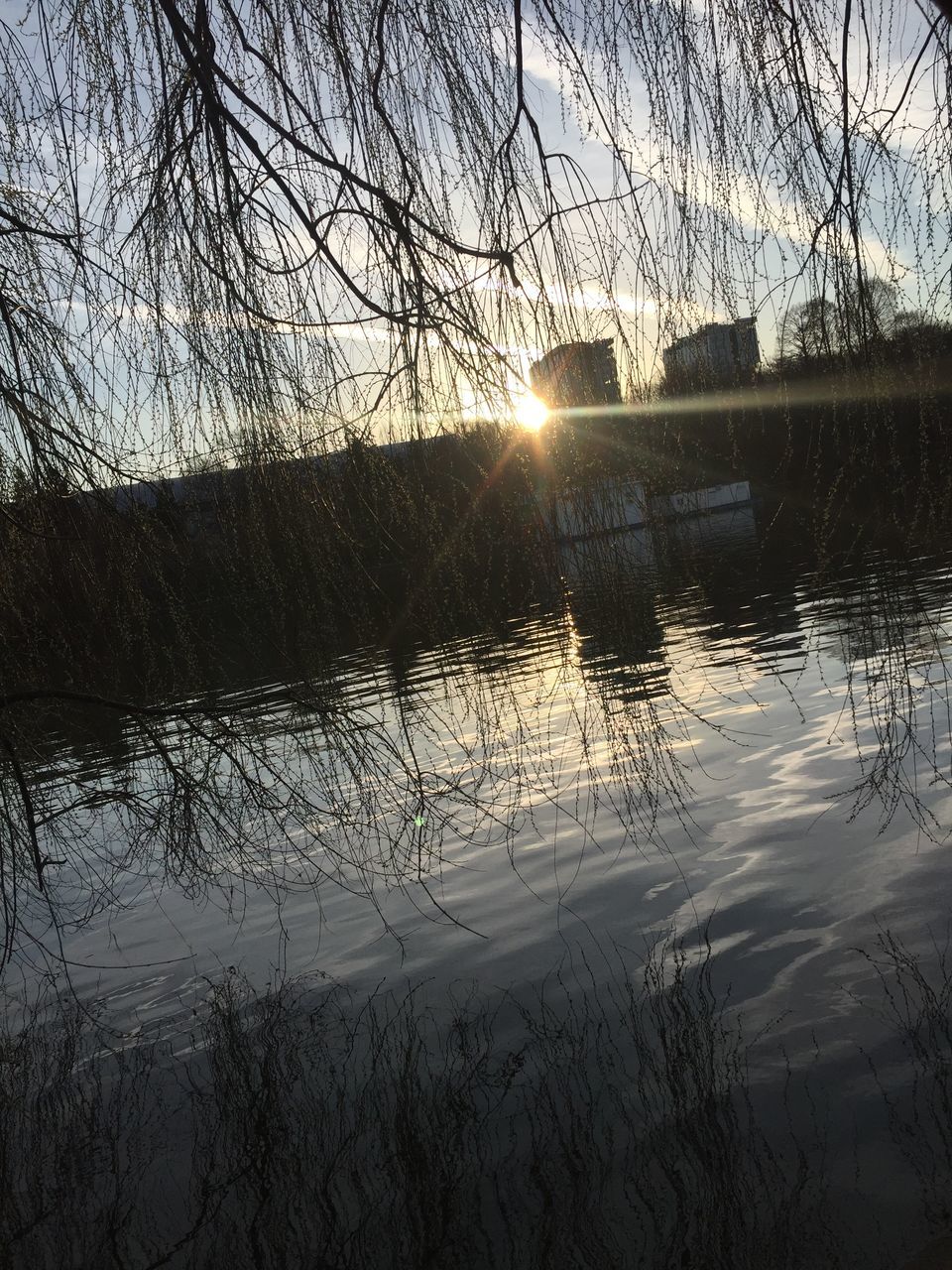 water, reflection, sky, tree, lake, plant, tranquility, scenics - nature, sun, no people, beauty in nature, tranquil scene, bare tree, nature, sunset, sunlight, lens flare, branch, sunbeam, outdoors, bright