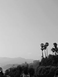 Scenic view of trees against clear sky