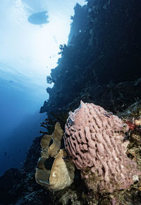 Rocks in sea against sky