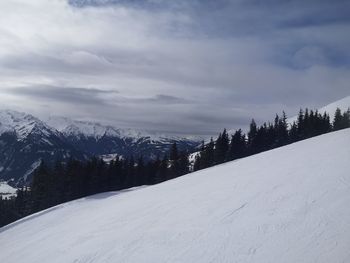 Pine trees on snowcapped mountains against sky