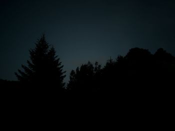 Silhouette trees against clear sky at night