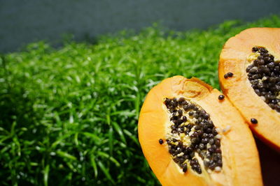 Close-up of orange slice in grass